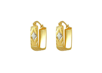 Dual Tone Plated | Fashion Earrings